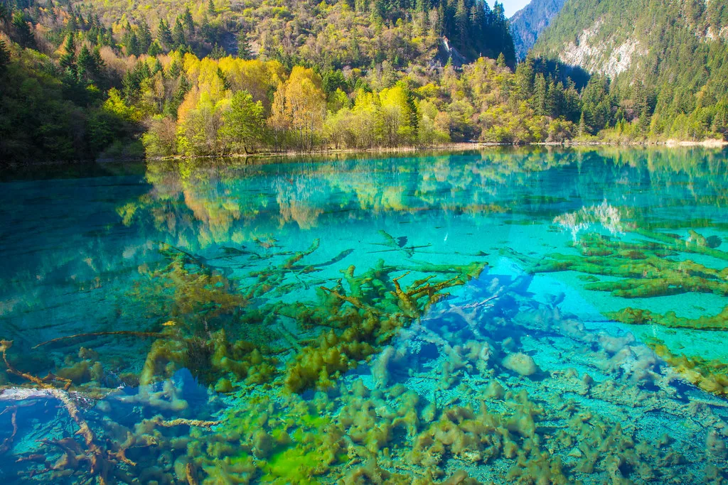 Jiuzhaigou National Park