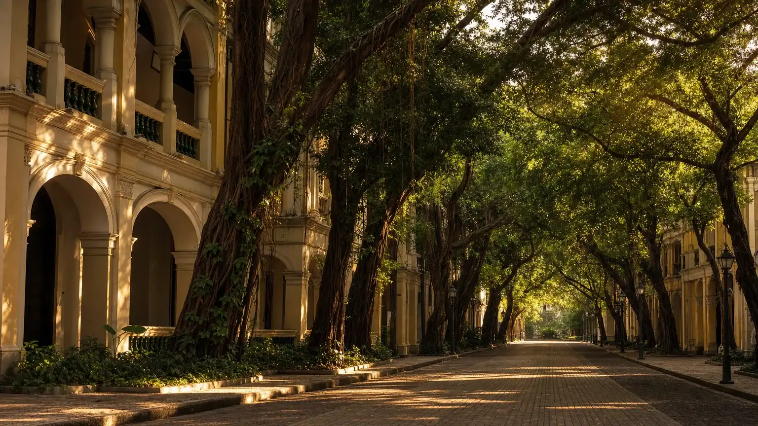 Shamian Island colonial arcades and tree-lined streets at golden hour